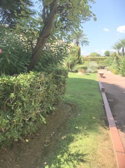 Studette Pointe Croisette - Axelle Loc'appart Appartamento Cannes